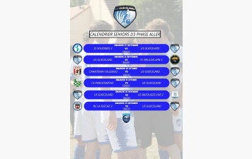 CALENDRIER SENIORS D3 PHASE ALLER