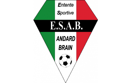 ES ANDARD BRAIN